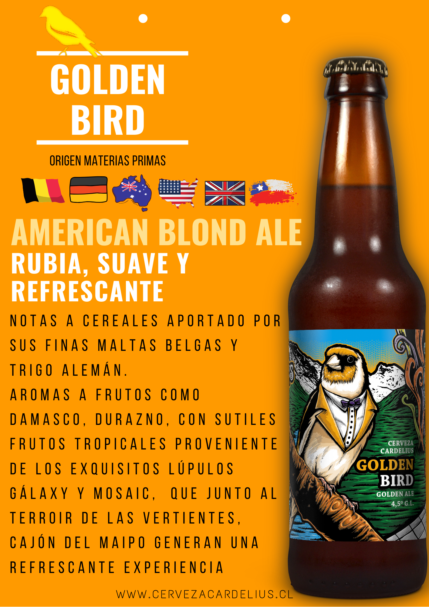 Botella Golden Bird 330cc (4,5% AbV) POS