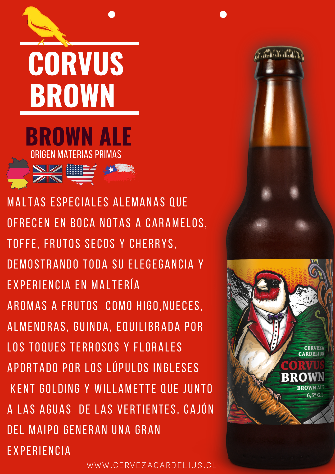 Caja 24 unidades Botellas 