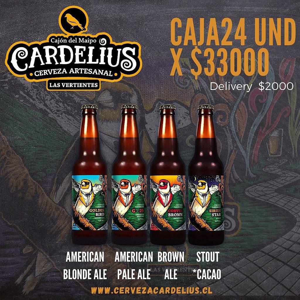 Caja 24 unidades Botellas